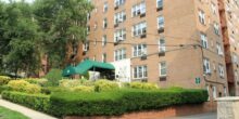 admiral real estate - 40 barker avenue white plains office space 1